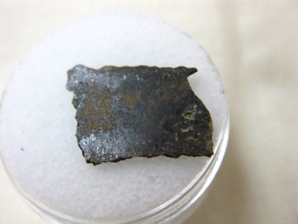 Meteorite Thin Slice in Gem Jar For Sale #7