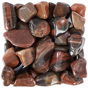 Genuine Tumbled Petrified Wood Metaphysical Stone Mineral from Unites States for Sale