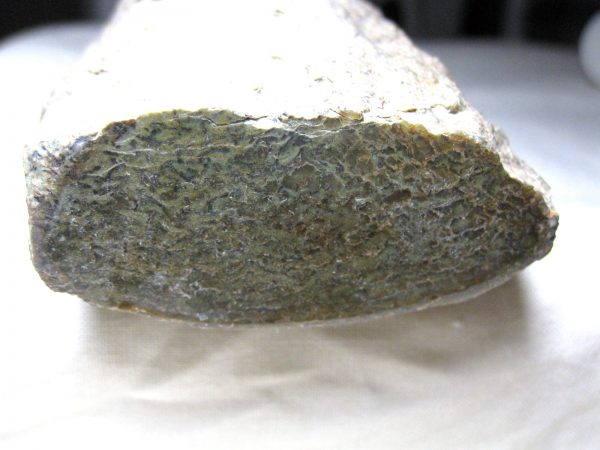 Polished Jurassic Dinosaur Bone #45 - Image 2