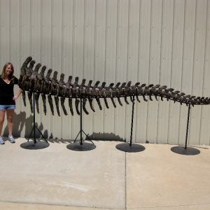 World Class Fossils