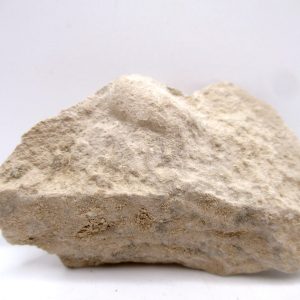 Genuine Oligocene Turtle Egg in Matrix From Wyoming For Sale #5a