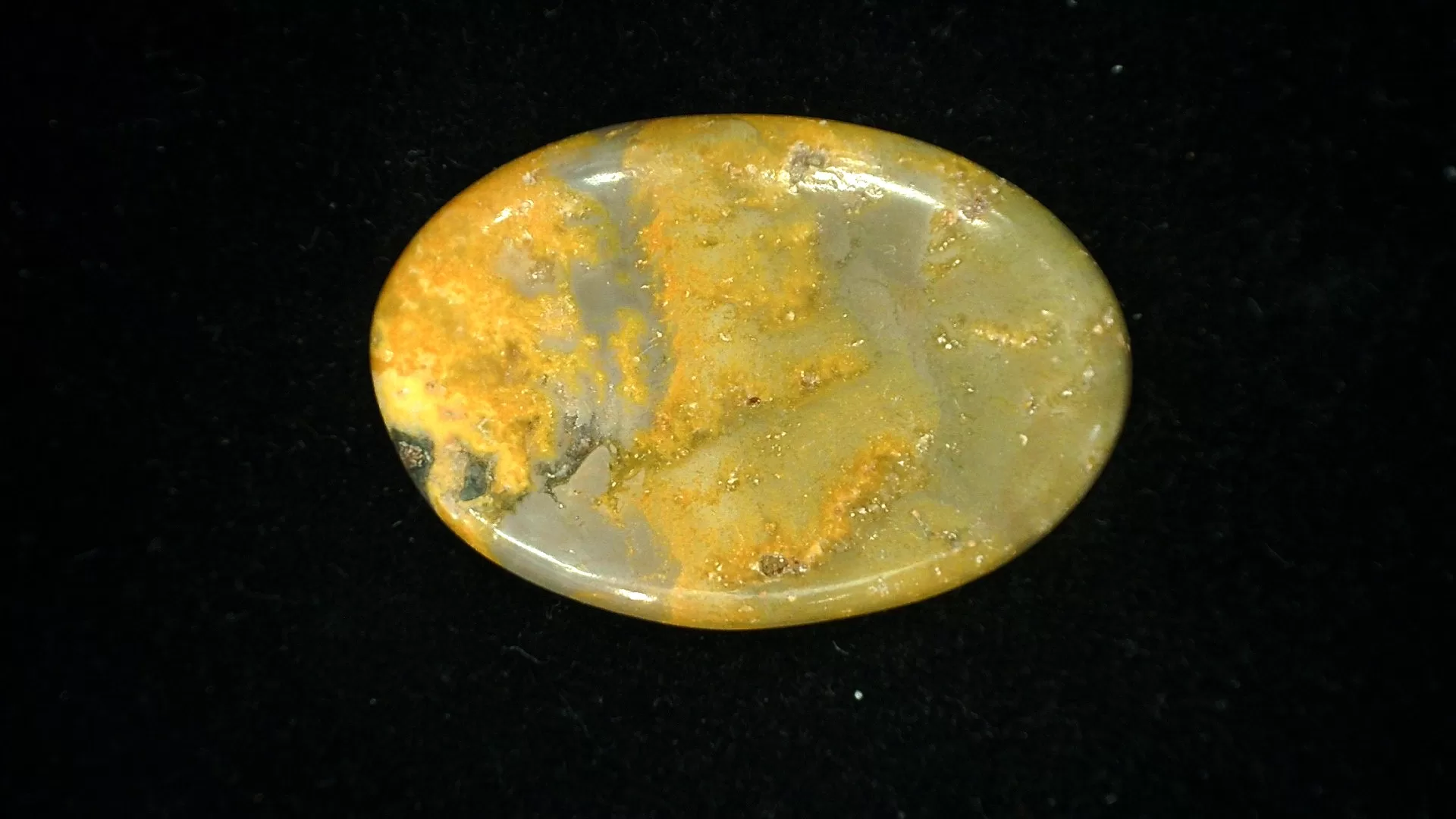 BumbleBee Jasper Cabochon 2 | Fossils for Sale BumbleBee Jasper Cabochon #2 For Sale