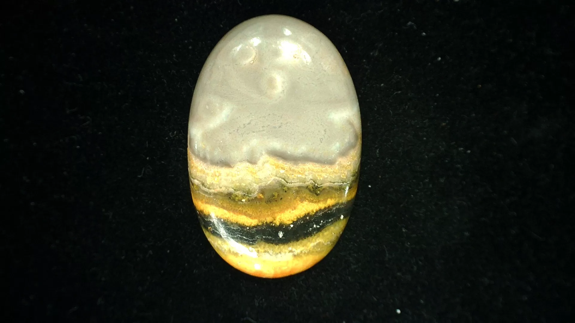 BumbleBee Jasper Cabochon 3 | Fossils for Sale BumbleBee Jasper Cabochon #3 For Sale