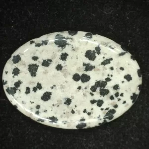 Dalmation Jasper Cabochon #4 For Sale