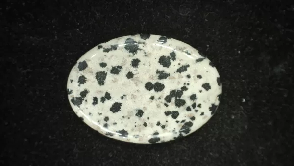 Dalmation Jasper Cabochon #4 For Sale