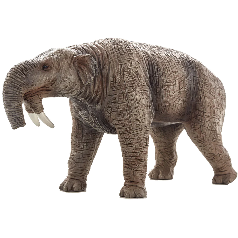 Deinotherium 387154 | Fossils for Sale Deinotherium 387154 For Sale