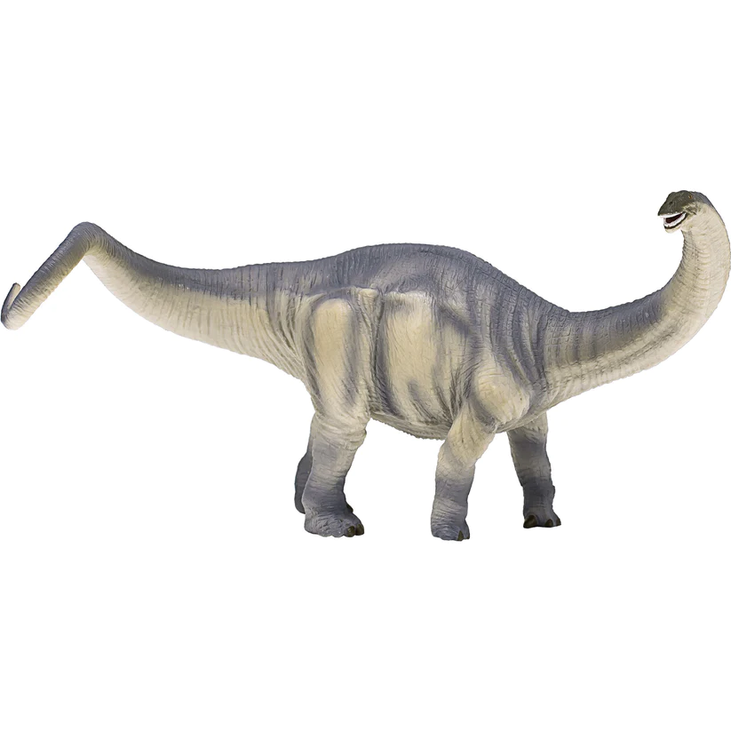 Deluxe Brontosaurus 387384 | Fossils for Sale Deluxe Brontosaurus 387384 For Sale