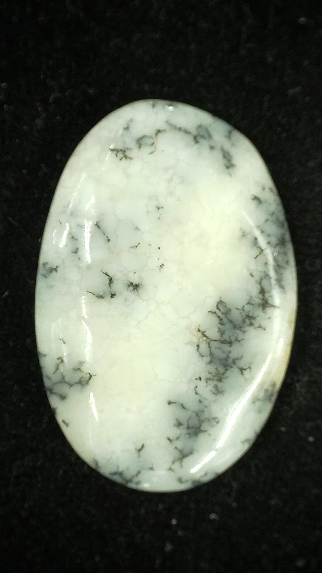 Dendritic Agate Cabochon 2 | Fossils for Sale Genuine Dendritic Agate Cabochon #2 For Sale
