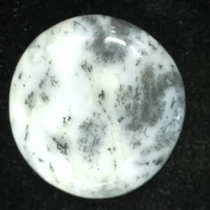 Genuine Dendritic Agate Cabochon #4 For Sale