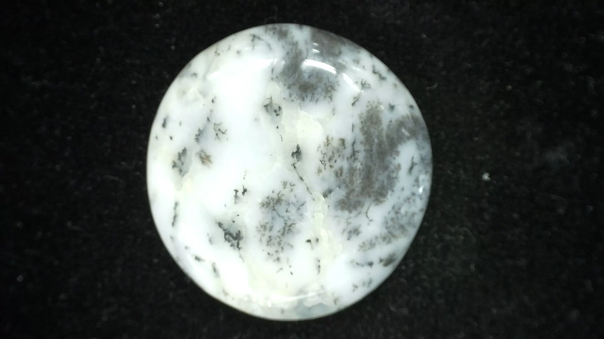 Dendritic Agate Cabochon 4 | Fossils for Sale Genuine Dendritic Agate Cabochon #4 For Sale