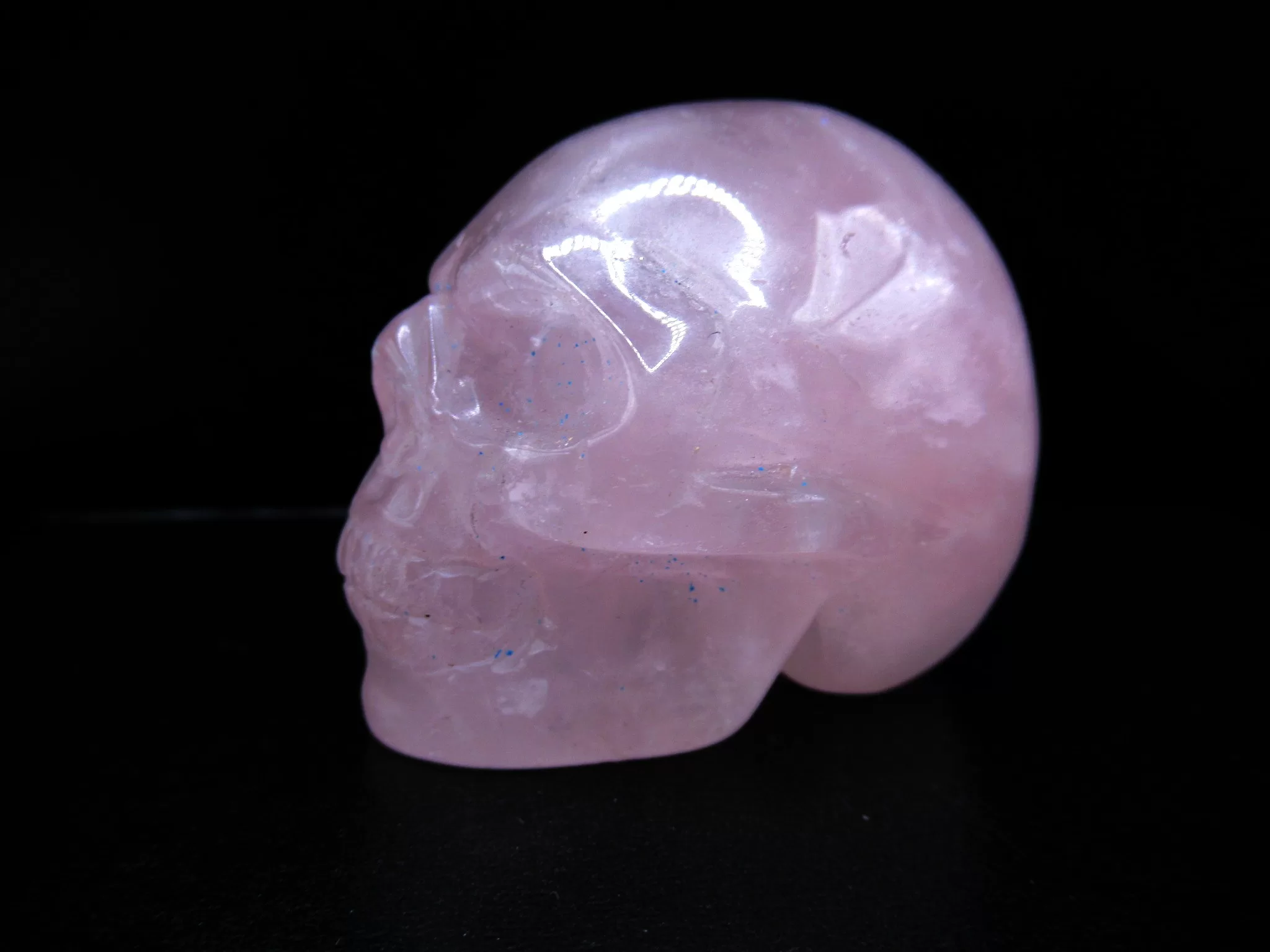 Rose Quartz Metaphysical Skull 3 | Fossils for Sale Polished Skull for Sale Rose Quartz #3