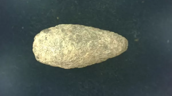 Genuine Permian Age Reptile Coprolite Fossil for Sale from Texas #11