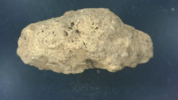 Genuine Permian Age Reptile Coprolite Fossil for Sale from Texas #13