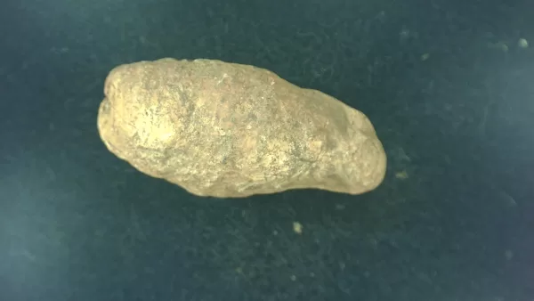 Genuine Permian Age Reptile Coprolite Fossil for Sale from Texas #14