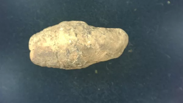 Genuine Permian Age Reptile Coprolite Fossil for Sale from Texas #14a