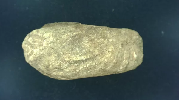 Genuine Permian Age Reptile Coprolite Fossil for Sale from Texas #7