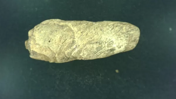 Genuine Permian Age Reptile Coprolite Fossil for Sale from Texas #8