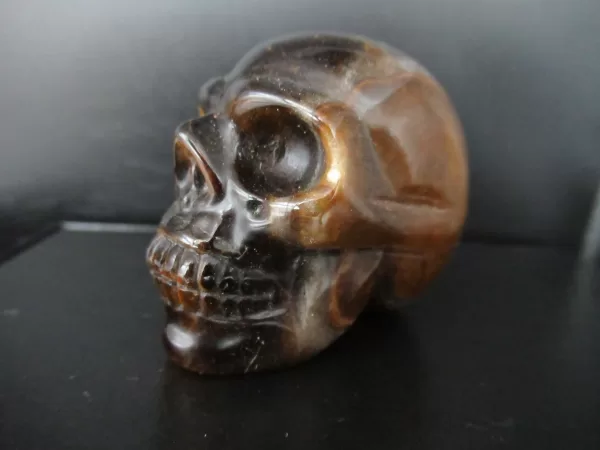 Polished Skull for Sale Tiger's Eye #2