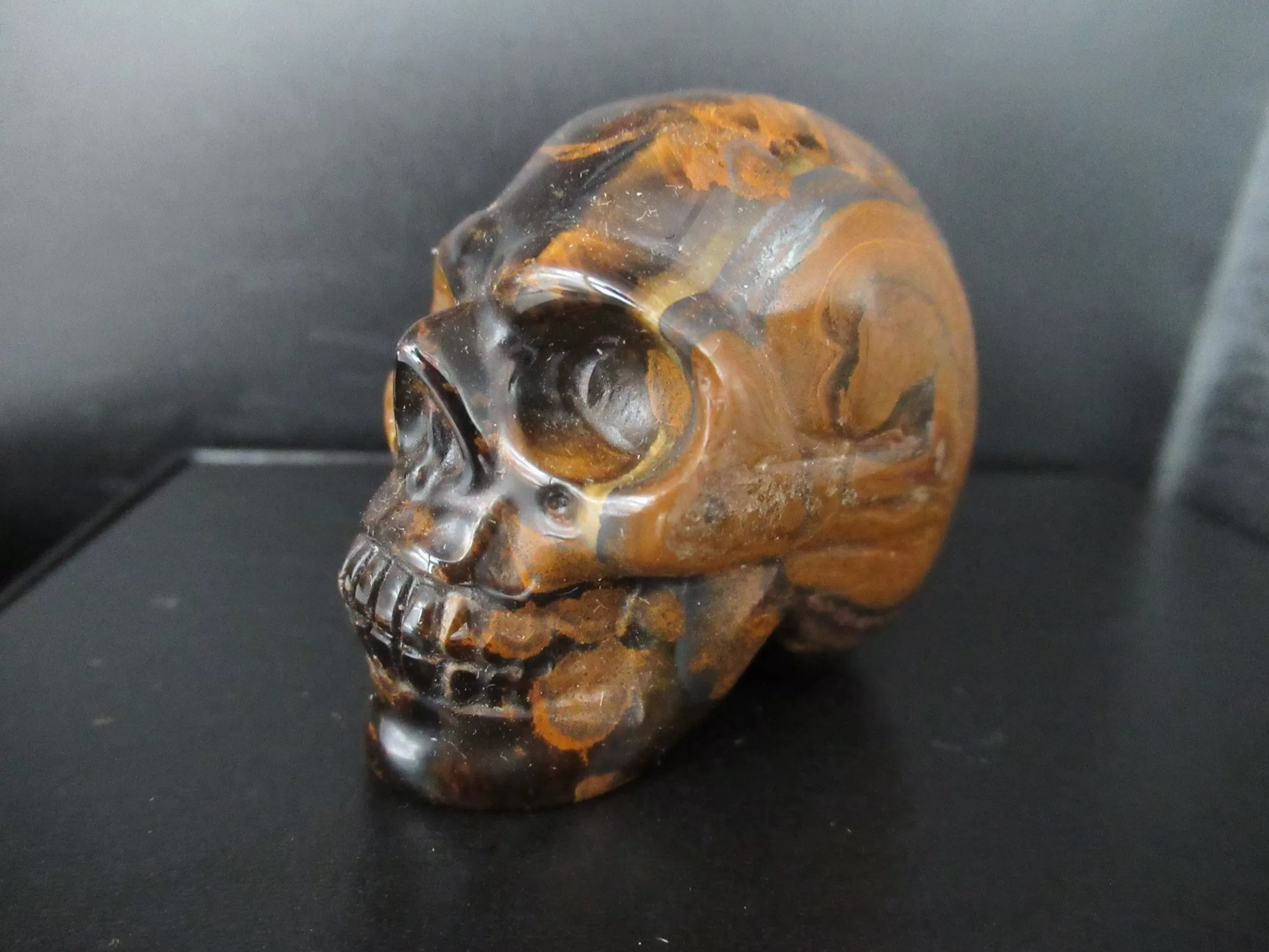 Tigers Eye Metaphysical Skull 3 | Fossils for Sale Polished Skull for Sale Tiger's Eye #3