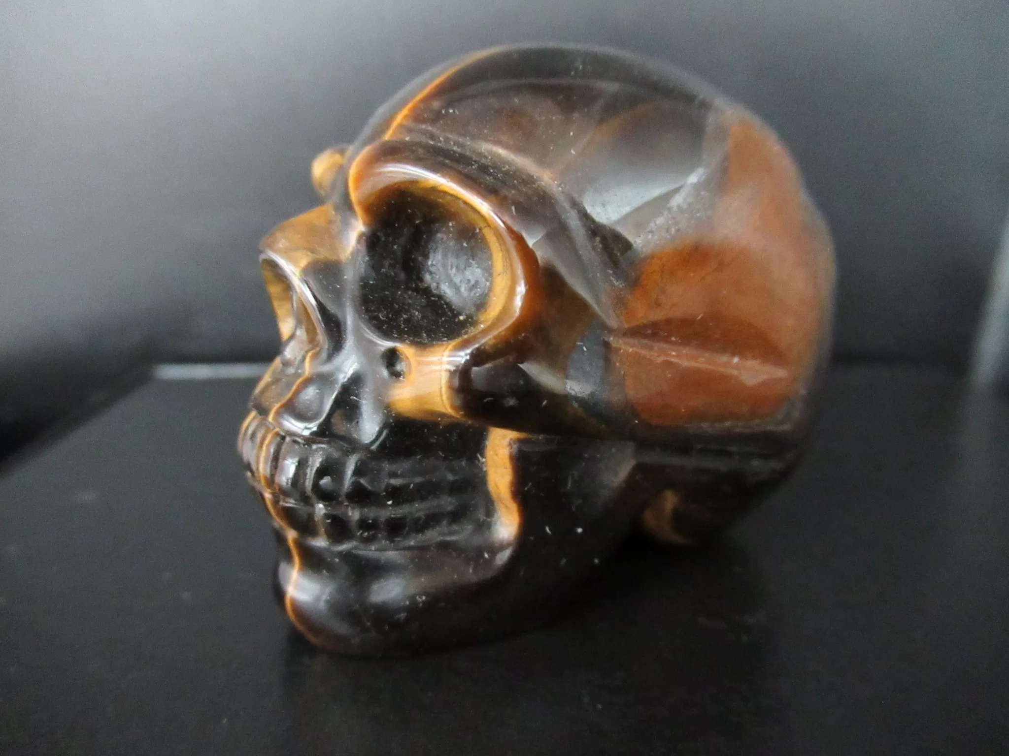Tigers Eye Metaphysical Skull 4 | Fossils for Sale Polished Skull for Sale Tiger's Eye #4