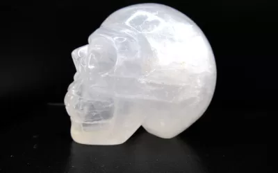 Polished Skull for Sale | White Quartz #1