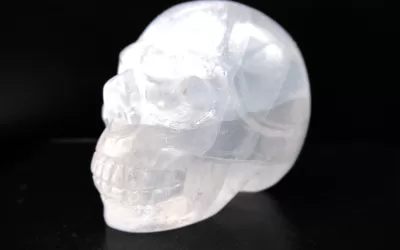 Polished Skull for Sale | White Quartz #2