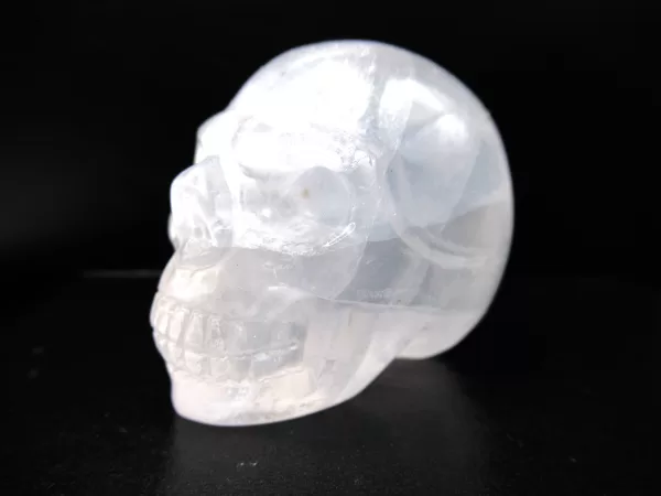 Polished Skull for Sale White Quartz #2