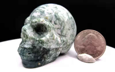 Polished Skull for Sale | Marine Agate #1