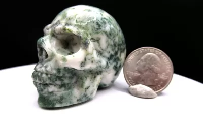 Polished Skull for Sale | Marine Agate #2