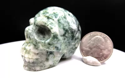 Polished Skull for Sale | Marine Agate #3