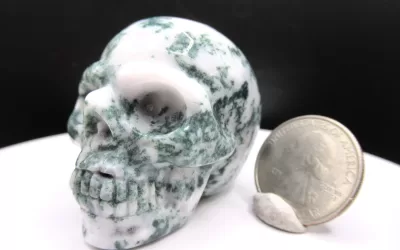 Polished Skull for Sale | Marine Agate #4