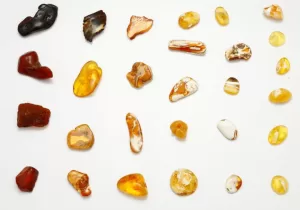 Amber with Insects for Sale