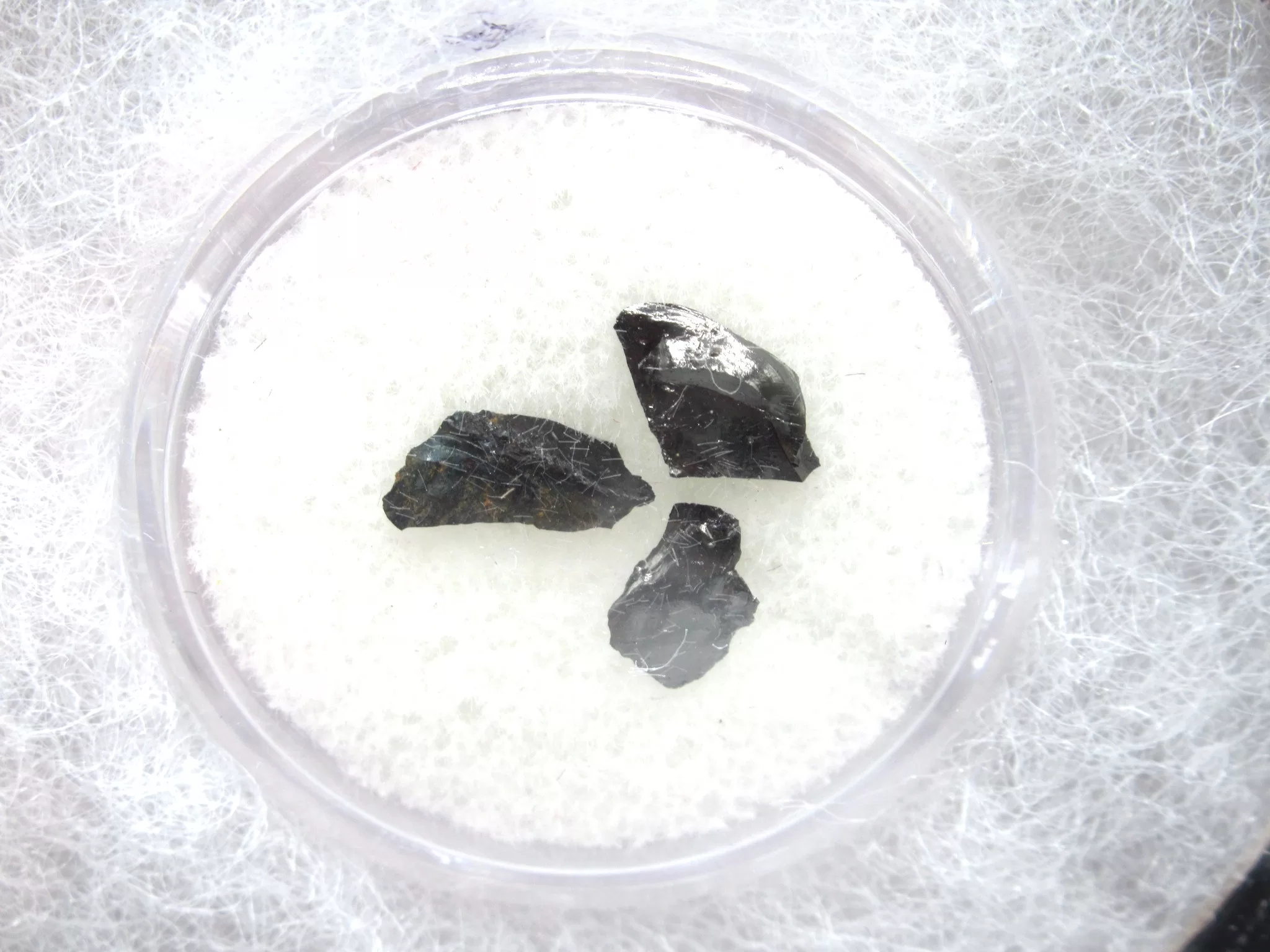 Confederate Shipwreck Artifact - Coal 12a | Fossils for Sale Genuine Confederate Shipwreck Artifact Coal for Sale #12a