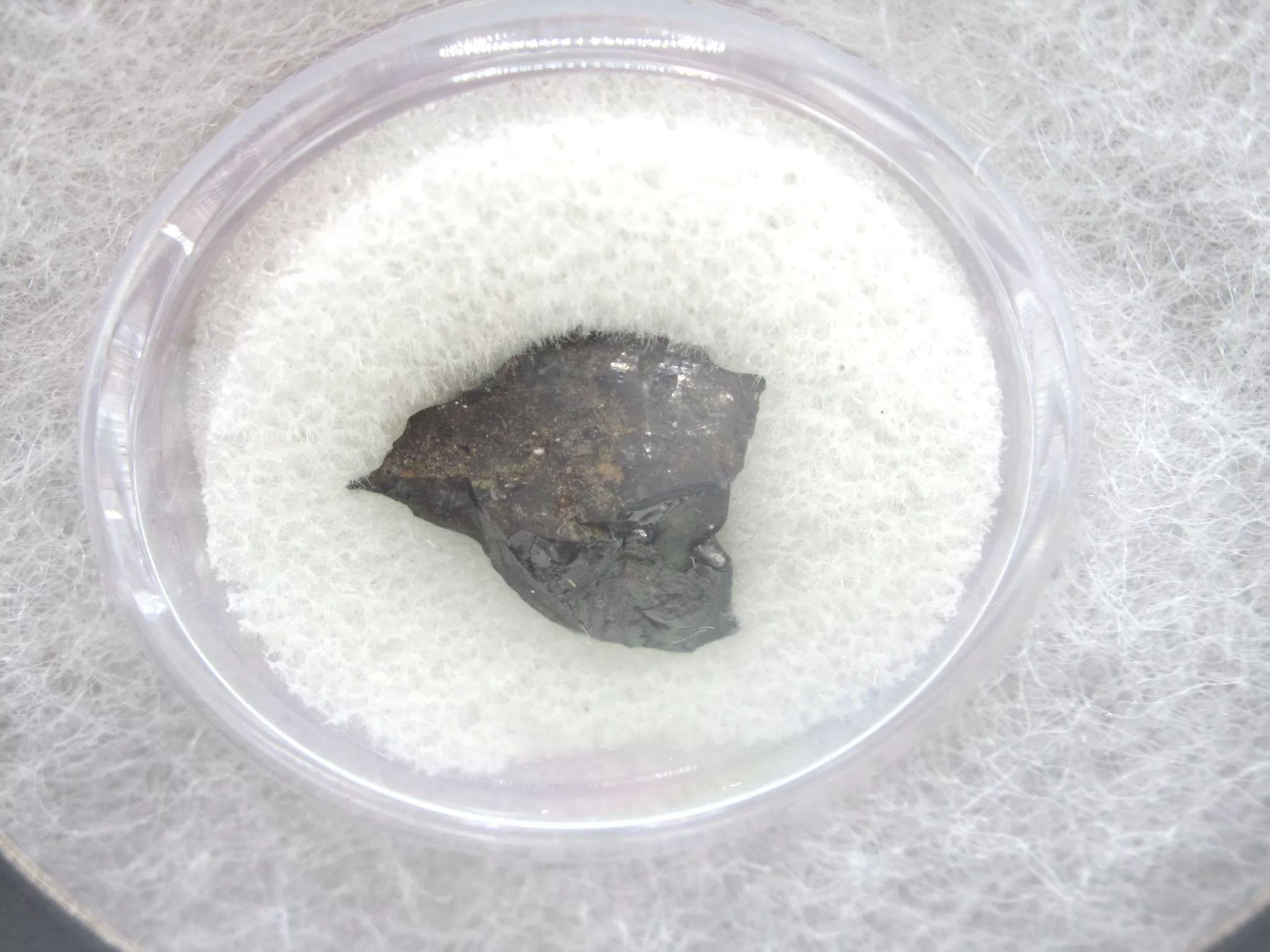 Confederate Shipwreck Artifact - Coal 3a | Fossils for Sale Genuine Confederate Shipwreck Artifact Coal for Sale #3a