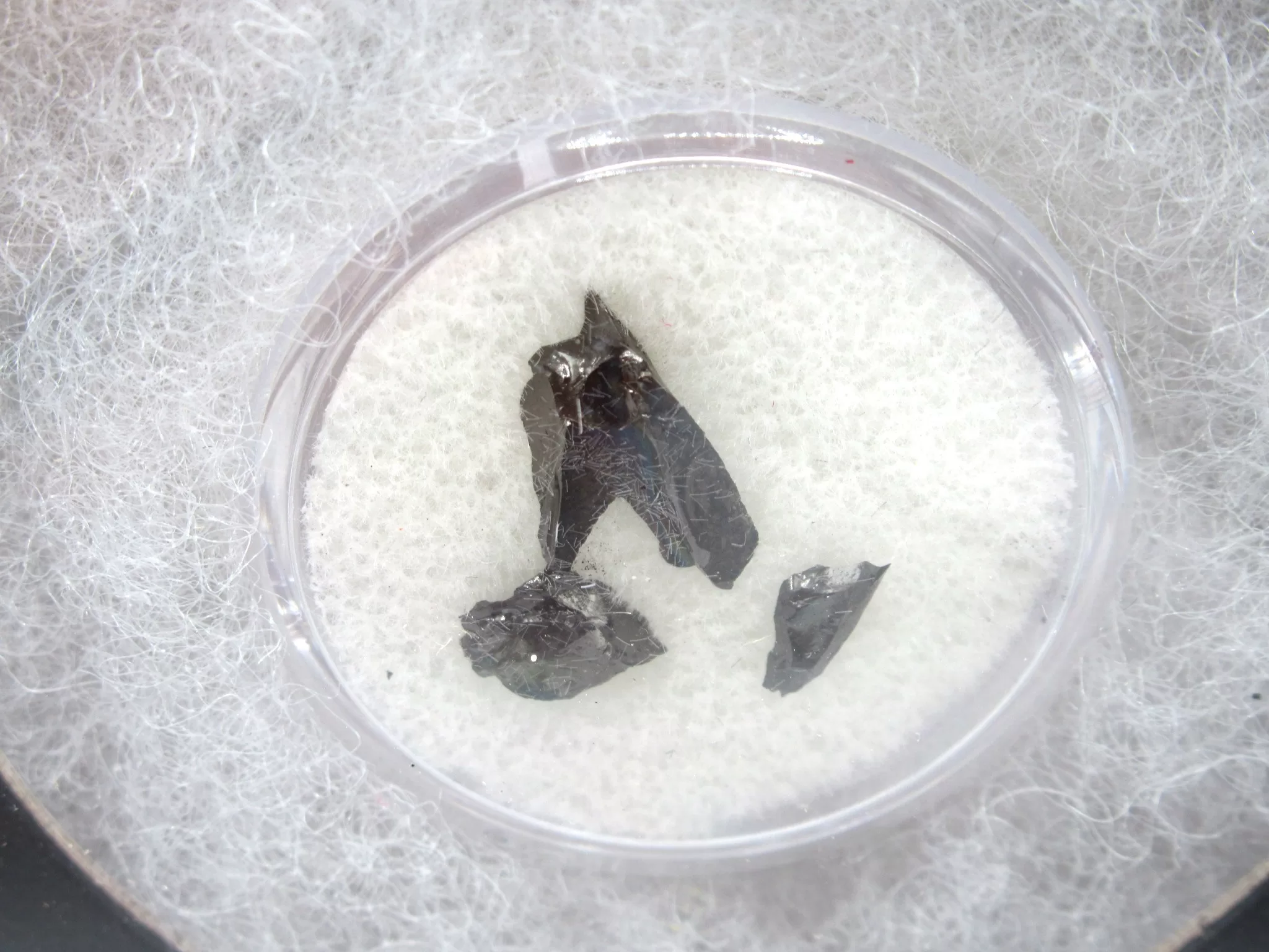 Confederate Shipwreck Artifact - Coal 4a | Fossils for Sale Genuine Confederate Shipwreck Artifact Coal for Sale #4a