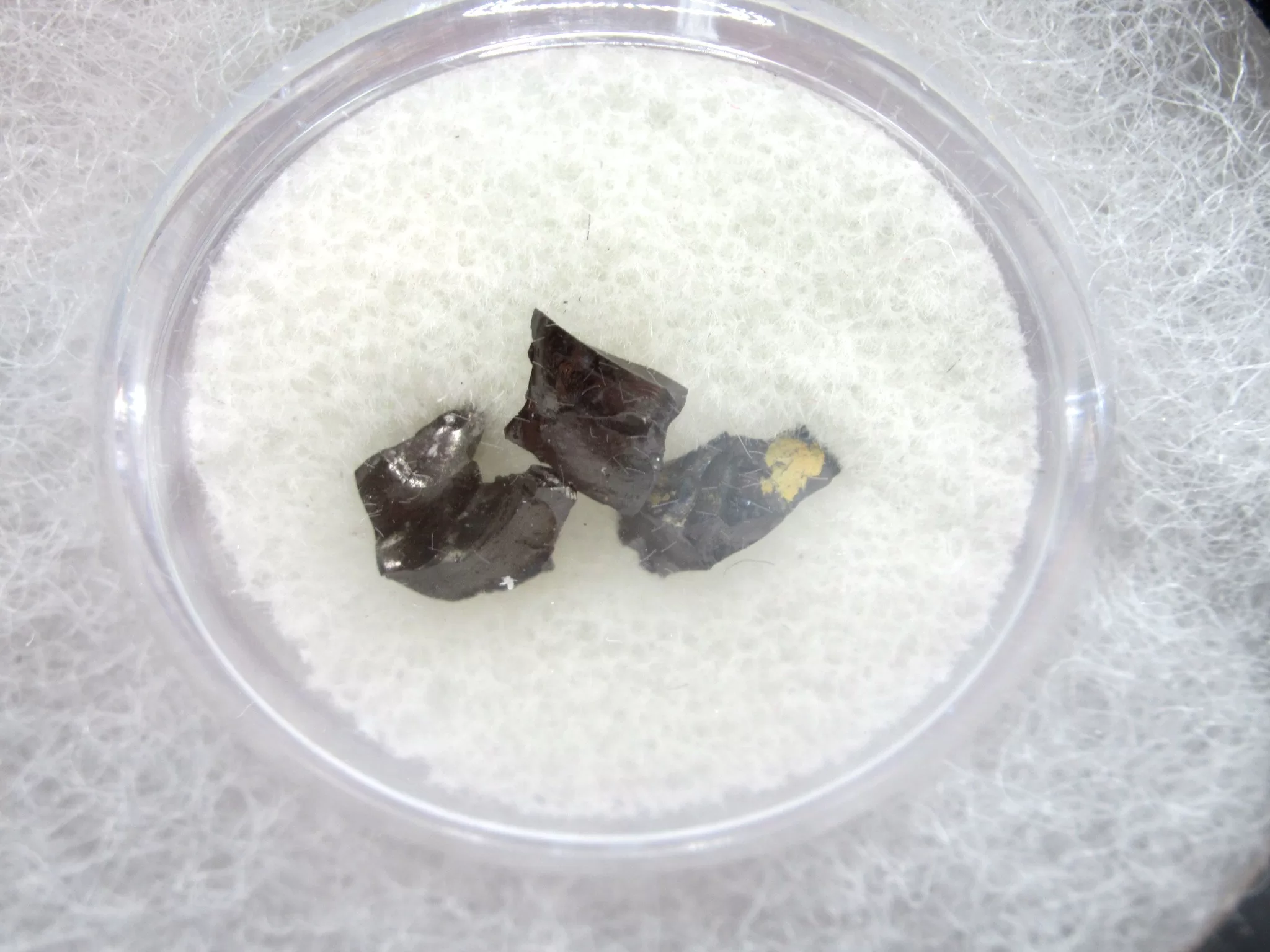 Confederate Shipwreck Artifact - Coal 5a | Fossils for Sale Genuine Confederate Shipwreck Artifact Coal for Sale #5a