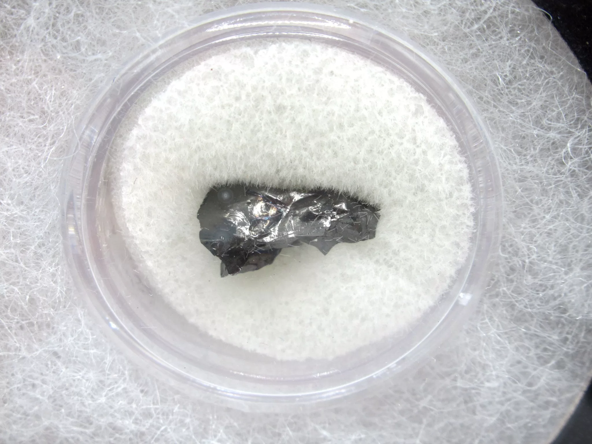 Confederate Shipwreck Artifact - Coal 9a | Fossils for Sale Genuine Confederate Shipwreck Artifact Coal for Sale #9a
