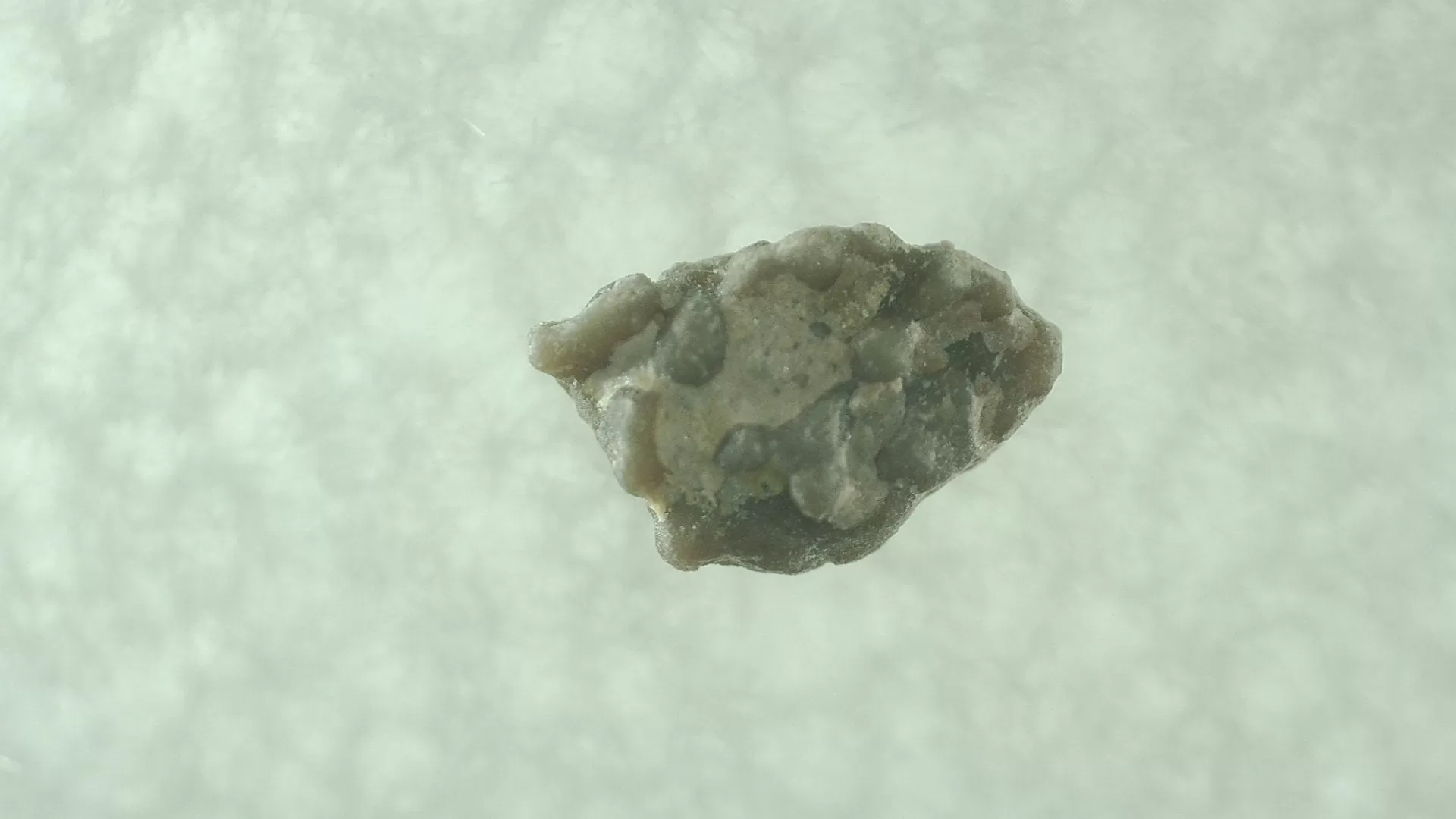 Cretaceous Pyroraptor Egg Shell from France 32 | Fossils for Sale Genuine Cretaceous Pyroraptor Egg Shell Fossils From France For Sale #32