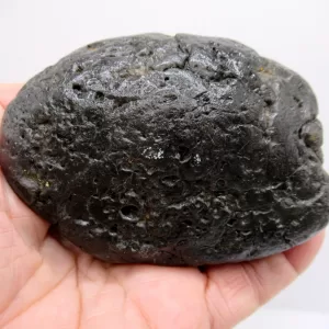 Genuine Miocene Age Megalodon Shark Coprolite Fossil for Sale from South Carolina #19