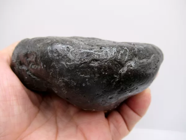 Genuine Miocene Age Megalodon Shark Coprolite Fossil for Sale from South Carolina #19a