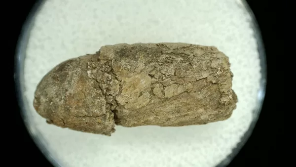 Genuine Permian Age Reptile Coprolite Fossil for Sale from Texas #40a