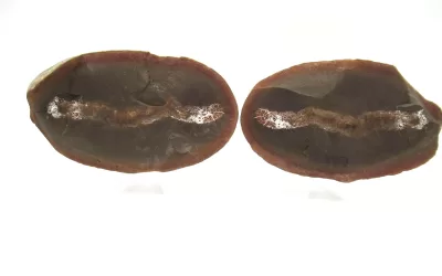 Mazon Creek Sea Cucumber Nodule #157