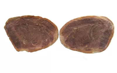 Mazon Creek Shrimp Nodule #134