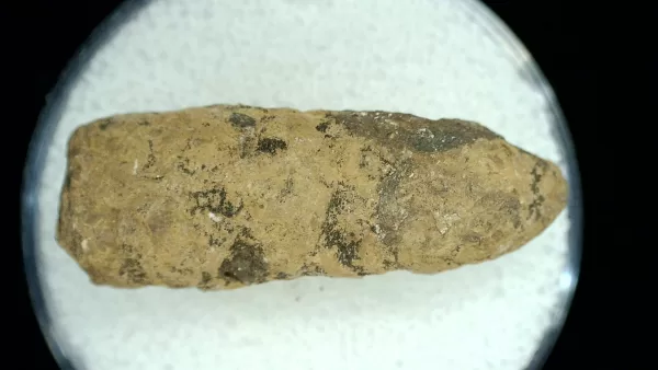 Genuine Permian Age Reptile Coprolite Fossil for Sale from Texas #50a