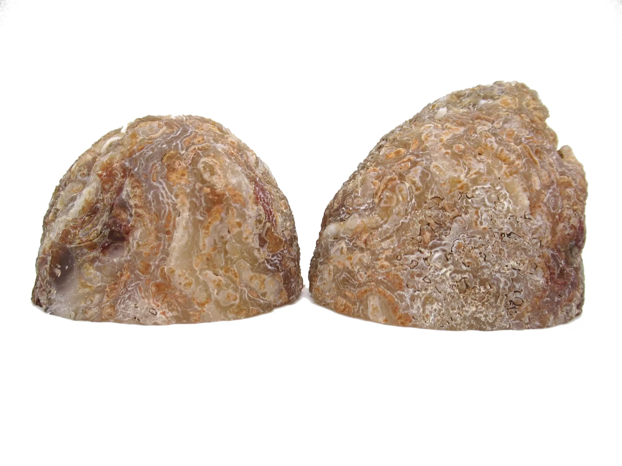 Jurassic Brazilian Geode Pair 15 | Fossils for Sale Genuine Jurassic Age Brazilian Geode Pair For Sale from Brazil #15