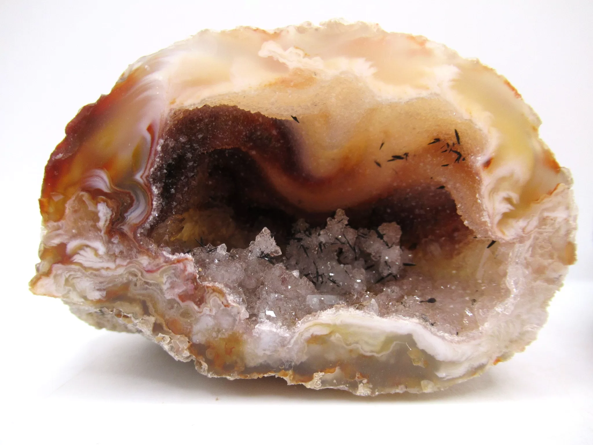 Jurassic Brazilian Geode Pair 15a | Fossils for Sale Genuine Jurassic Age Brazilian Geode Pair For Sale from Brazil #15a