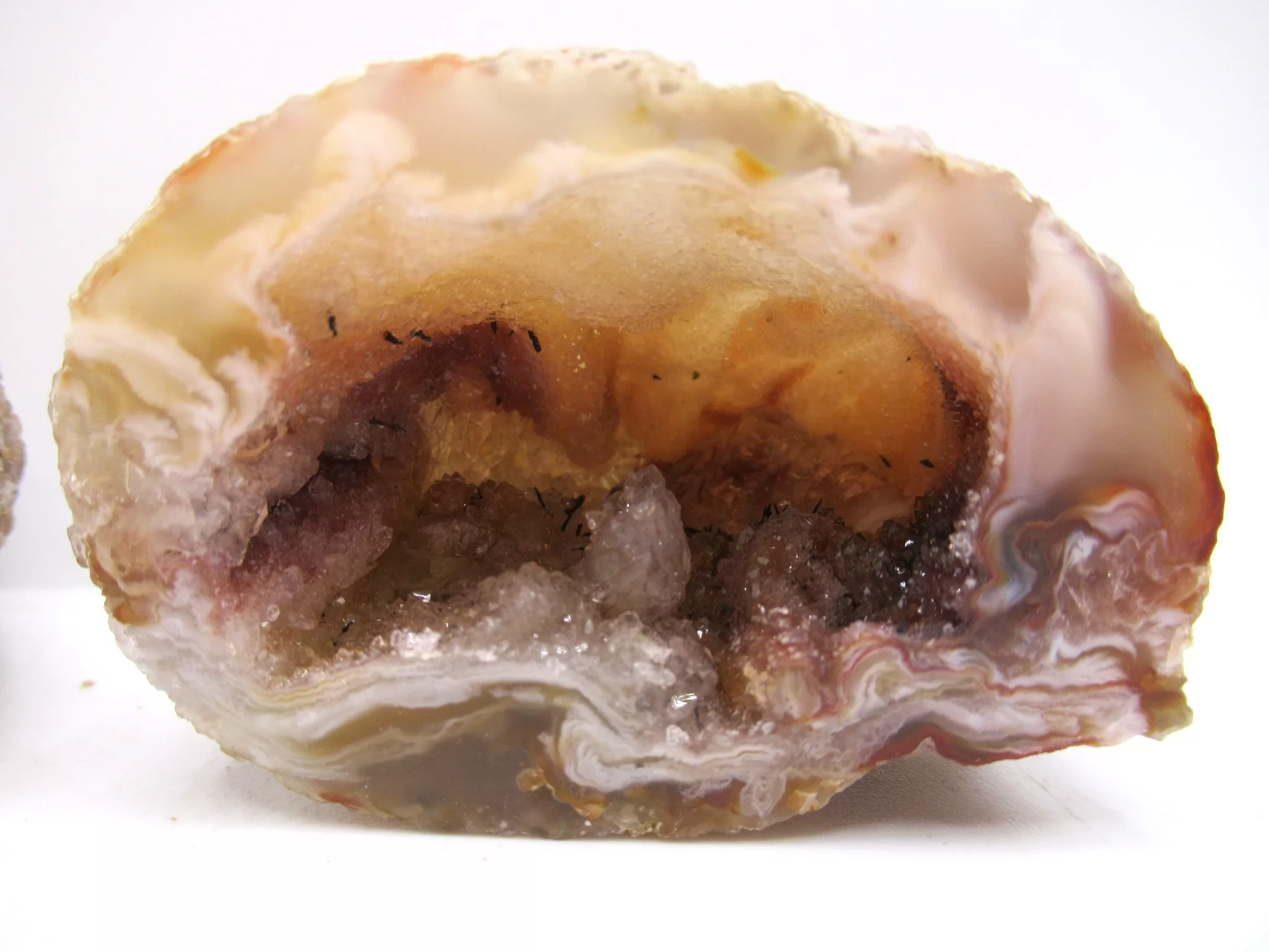 Jurassic Brazilian Geode Pair 15b | Fossils for Sale Genuine Jurassic Age Brazilian Geode Pair For Sale from Brazil #15b