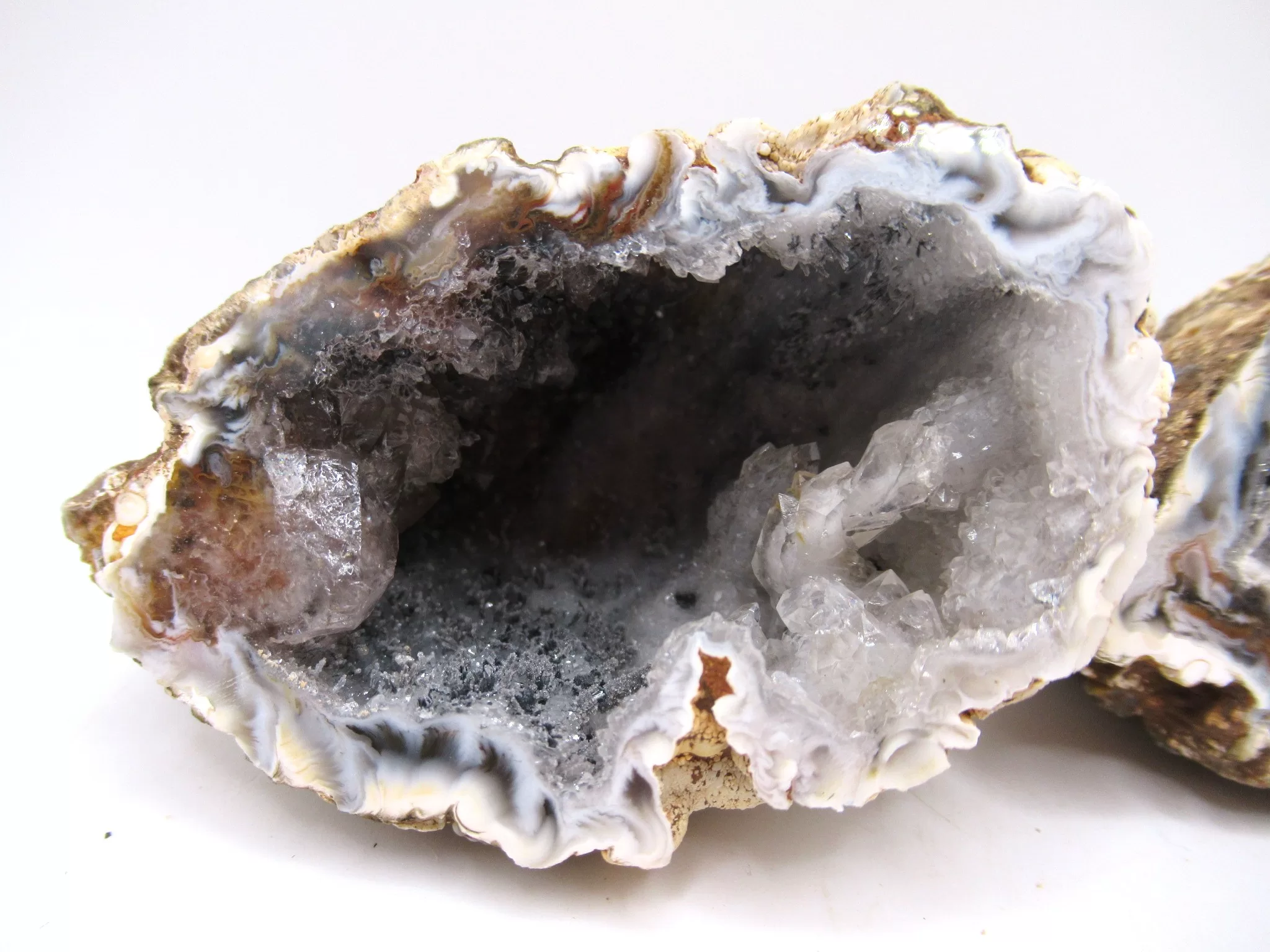 Jurassic Brazilian Geode Pair 16a | Fossils for Sale Genuine Jurassic Age Brazilian Geode Pair For Sale from Brazil #16a