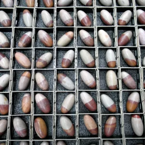 Genuine Shiva Lingam Metaphysical Stones For Sale