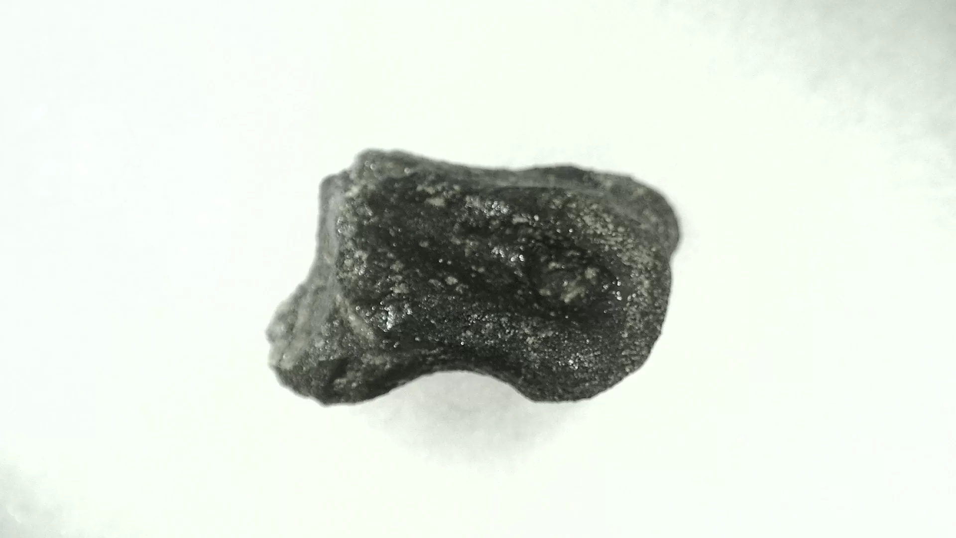 Wyoming Jurassic Dryosaurus Dinosaur Bone 10b | Fossils for Sale Genuine Jurassic Age Dryosaurus Dinosaur Bone Fossils For Sale from Wyoming #10b